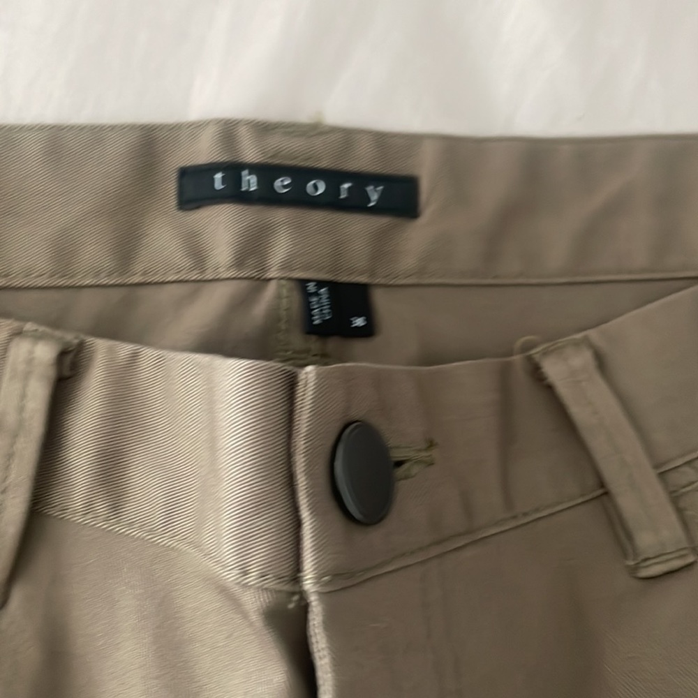 Mens Theory pants NEW